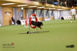 1T0A0326-2_DxO