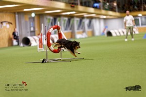 1T0A0327-2_DxO