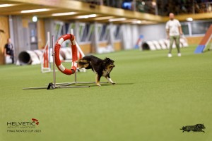 1T0A0328-2_DxO