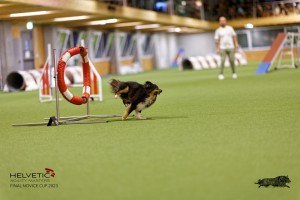 1T0A0329-2_DxO