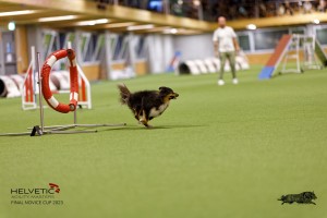 1T0A0330-2_DxO