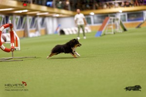 1T0A0332-2_DxO