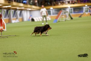 1T0A0333-2_DxO