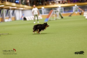 1T0A0334-2_DxO