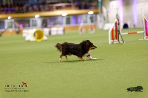 1T0A0339-2_DxO