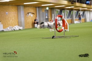 1T0A0378-2_DxO
