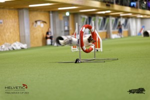 1T0A0379-2_DxO