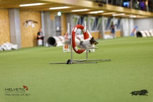 1T0A0380-2_DxO