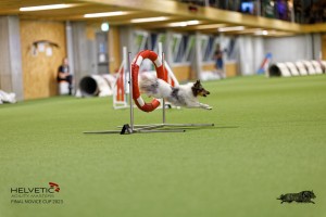 1T0A0381-2_DxO