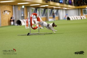 1T0A0382-2_DxO