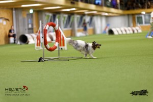 1T0A0383-2_DxO