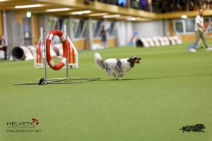 1T0A0384-2_DxO