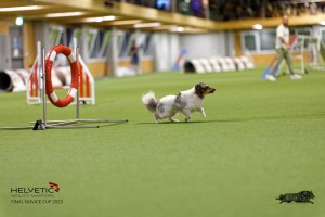 1T0A0385-2_DxO