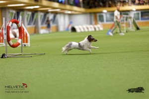 1T0A0386-2_DxO