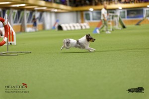 1T0A0387-2_DxO