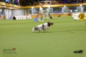 1T0A0388-2_DxO