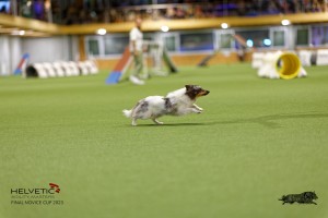 1T0A0389-2_DxO