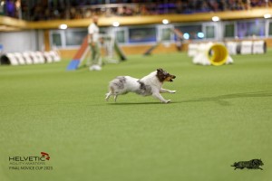 1T0A0390-2_DxO