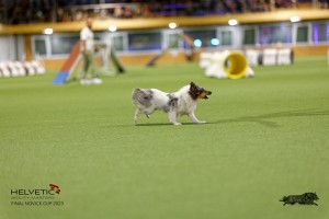 1T0A0391-2_DxO