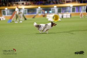 1T0A0392-2_DxO