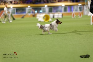 1T0A0394-2_DxO