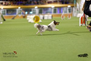 1T0A0395-2_DxO