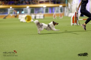 1T0A0396-2_DxO