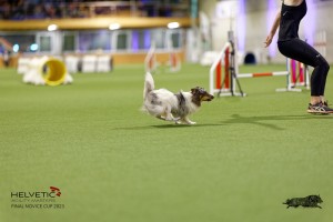 1T0A0398-2_DxO