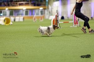 1T0A0399-2_DxO