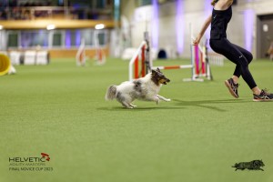 1T0A0400-2_DxO