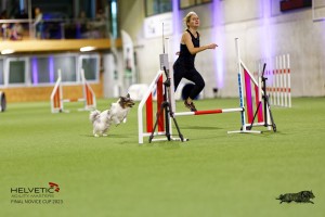 1T0A0424-2_DxO