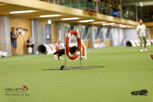 1T0A0453-2_DxO