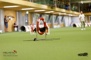 1T0A0454-2_DxO