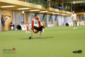 1T0A0455-2_DxO