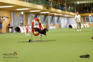 1T0A0456-2_DxO