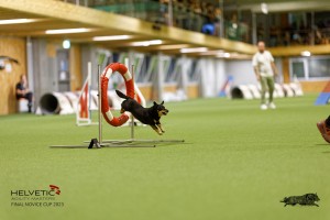 1T0A0457_DxO