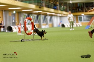 1T0A0458-2_DxO