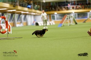 1T0A0459-2_DxO