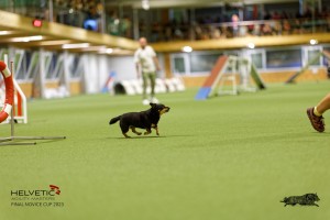 1T0A0460-2_DxO