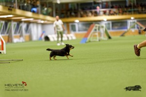 1T0A0461-2_DxO