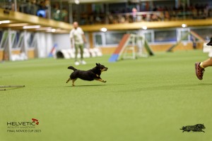 1T0A0462-2_DxO