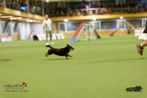 1T0A0463-2_DxO