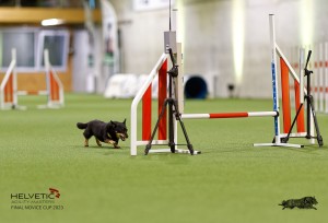 1T0A0492-2_DxO