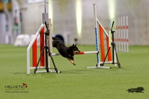 1T0A0508-2_DxO