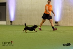 1T0A0526-2_DxO