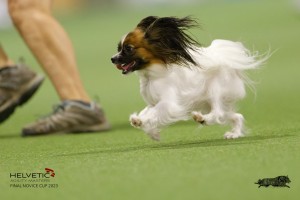 1_EH8A7375_DxO
