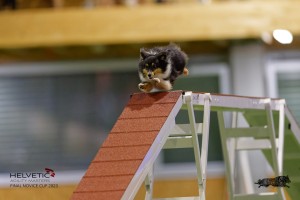 EH8A7304_DxO