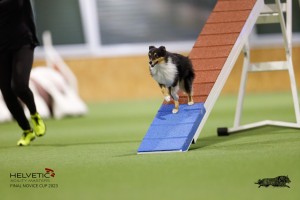 EH8A7312_DxO