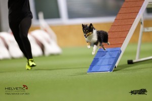 EH8A7313_DxO