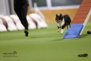 EH8A7314_DxO